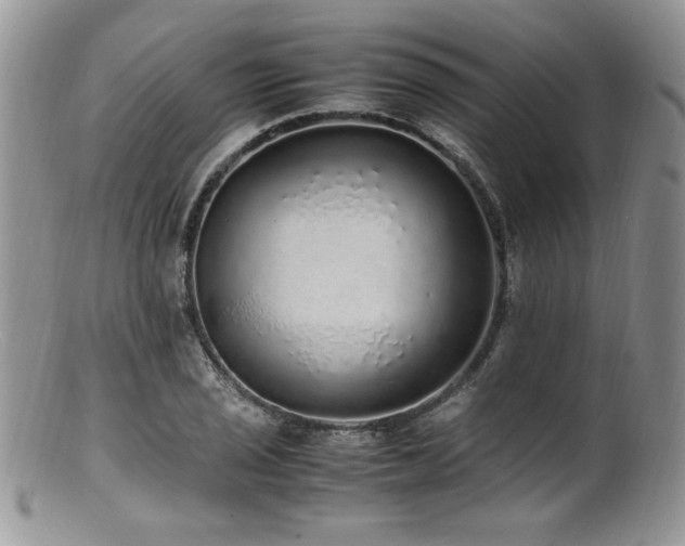 X0000100851029200806201209