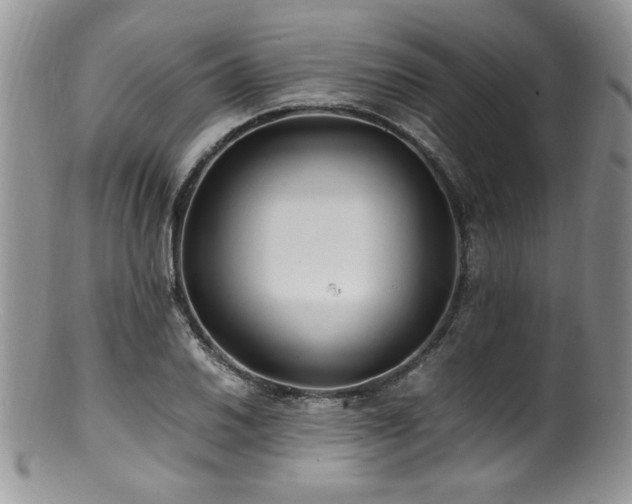 X0000100851030200806201209