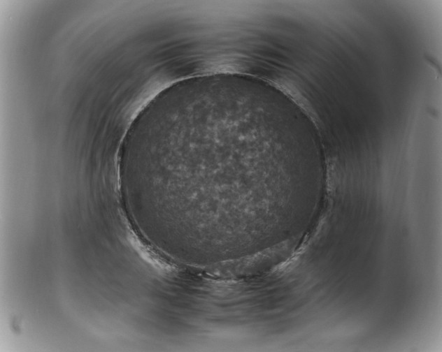 X0000100851031200806201209
