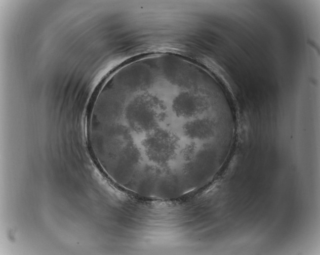 X0000100851032200806201209