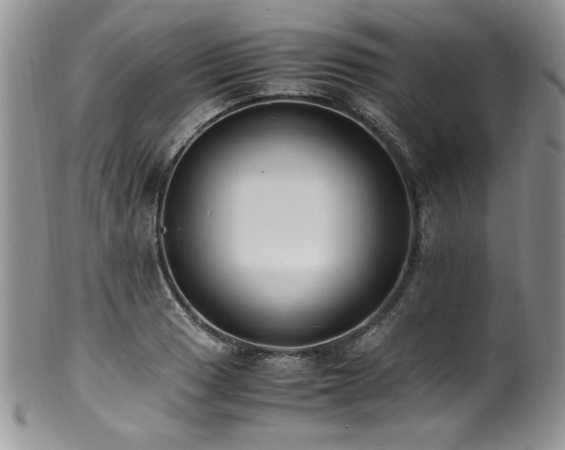 X0000100851033200806201209