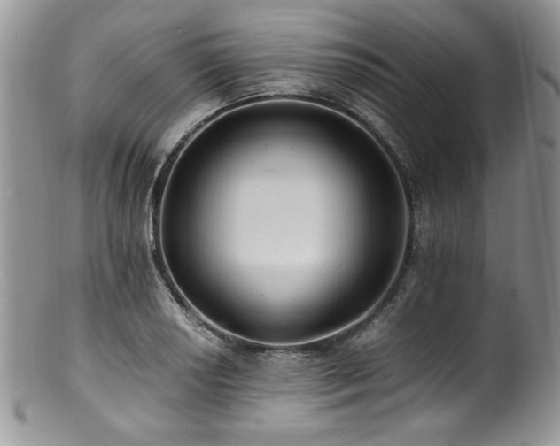 X0000100851034200806201209