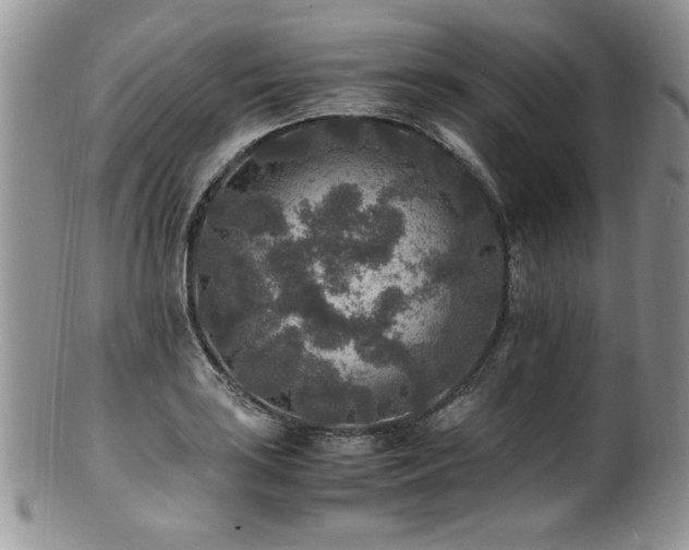 X0000100851035200806201209