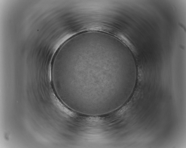 X0000100851036200806201209