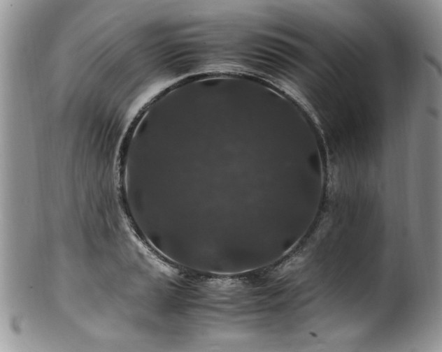 X0000100851037200806201209
