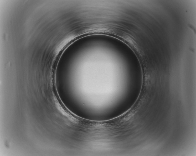 X0000100851038200806201209