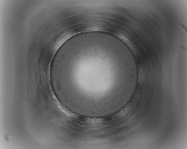 X0000100851039200806201209
