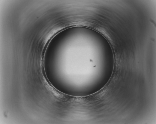 X0000100851040200806201209