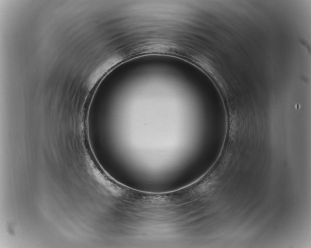 X0000100851042200806201209