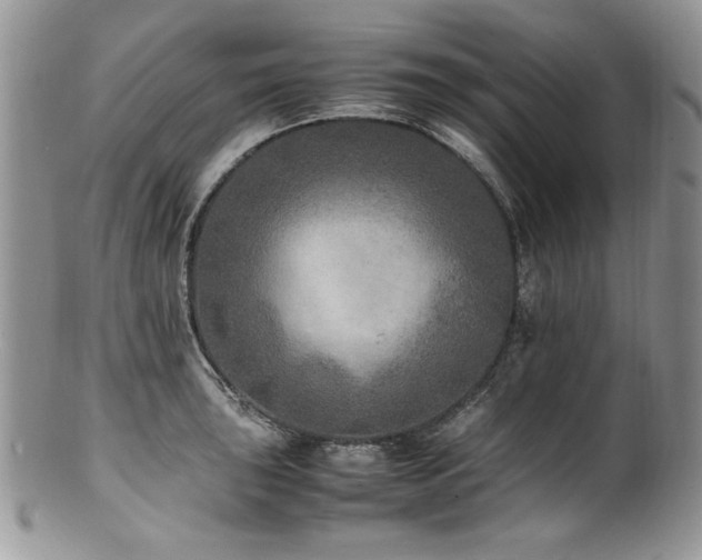 X0000100851043200806201209