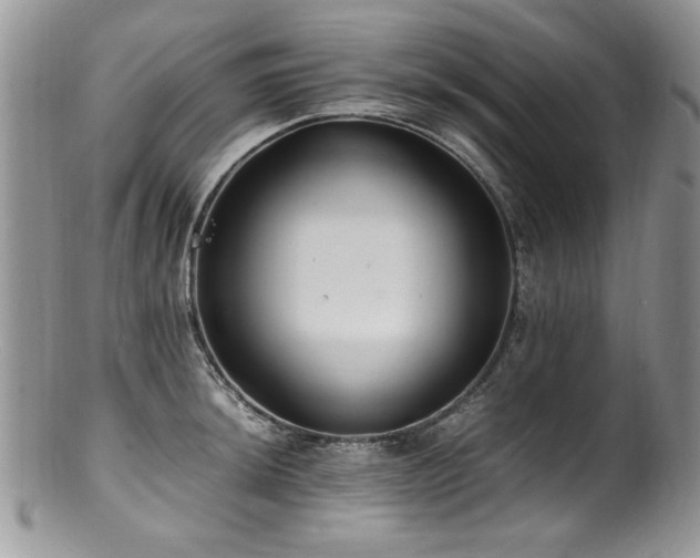 X0000100851044200806201209