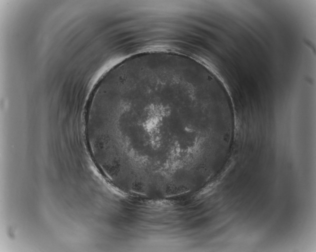 X0000100851045200806201209