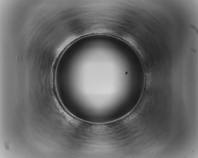 X0000100851046200806201209