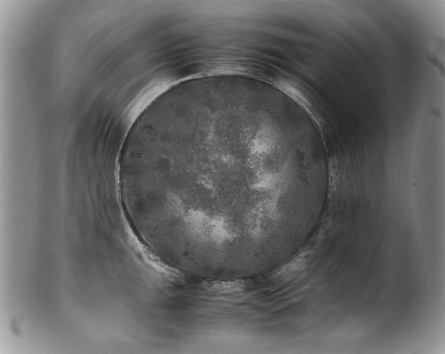 X0000100851047200806201209