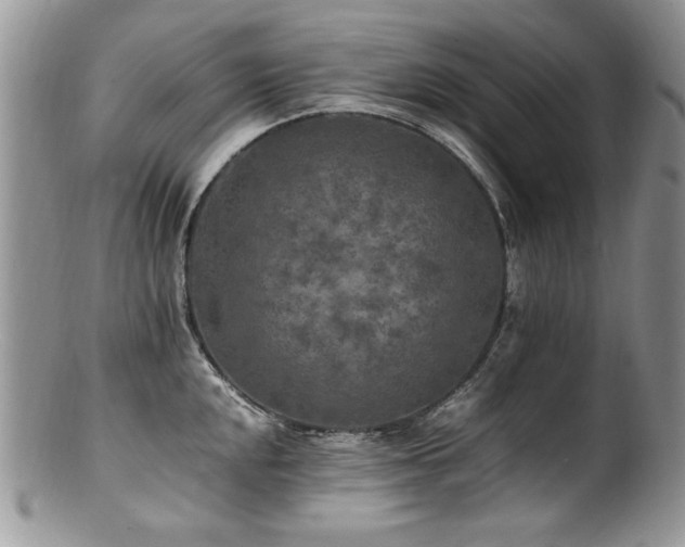 X0000100851048200806201209