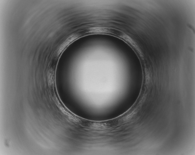 X0000100851049200806201209