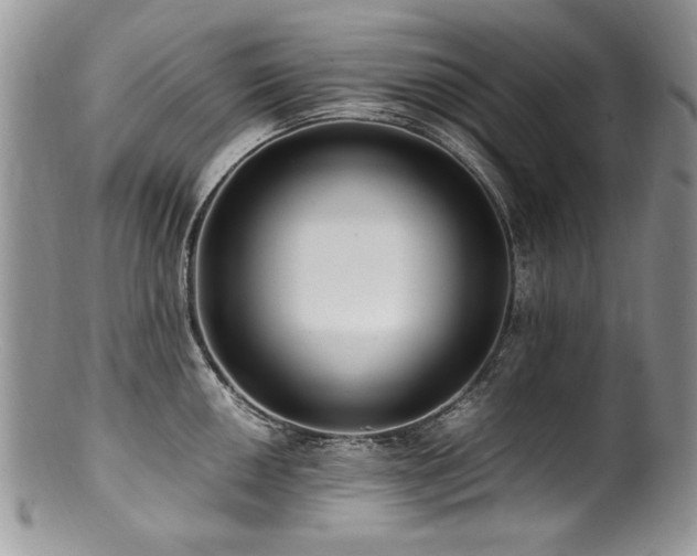 X0000100851050200806201209
