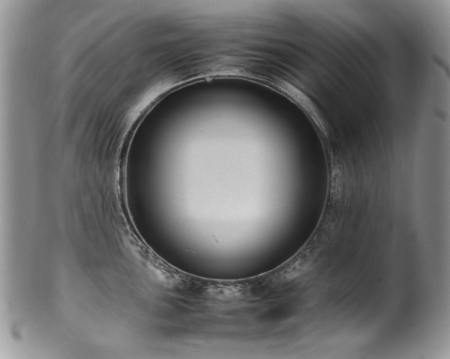 X0000100851051200806201209