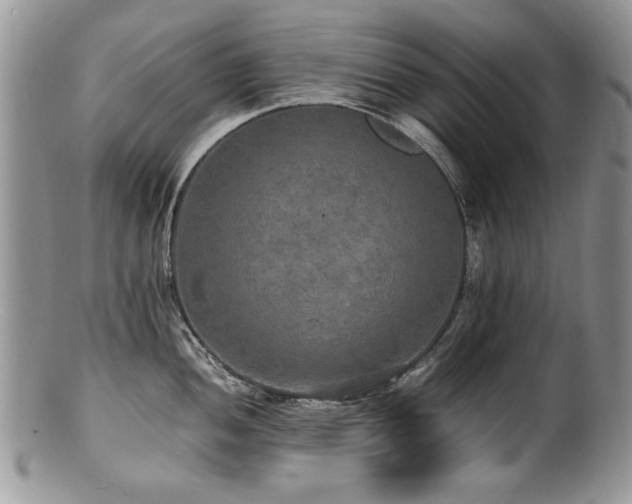 X0000100851052200806201209