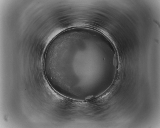X0000100851053200806201209