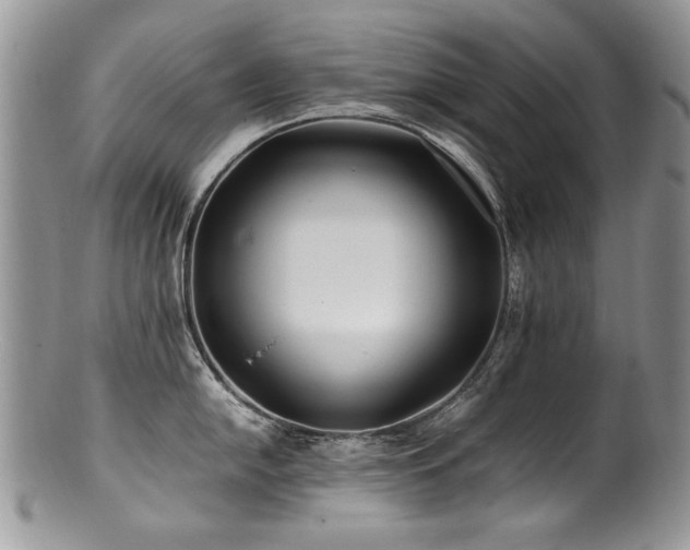 X0000100851054200806201209