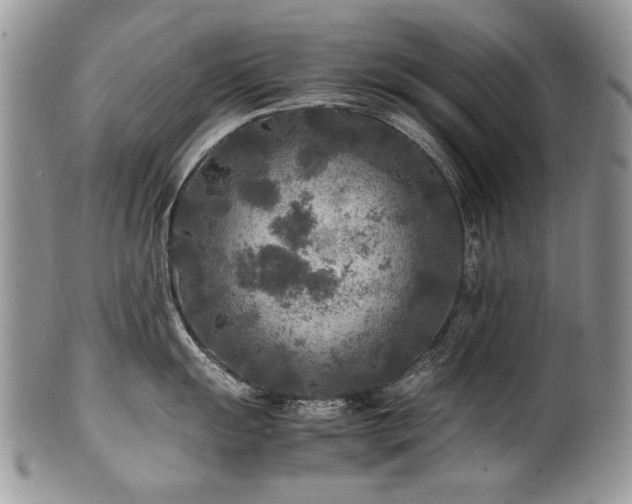 X0000100851055200806201209