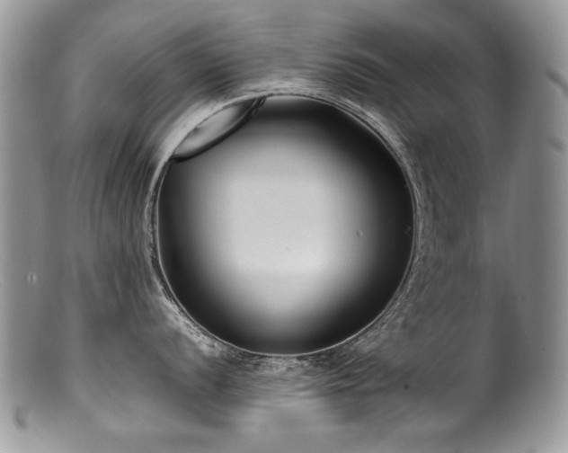 X0000100851056200806201209