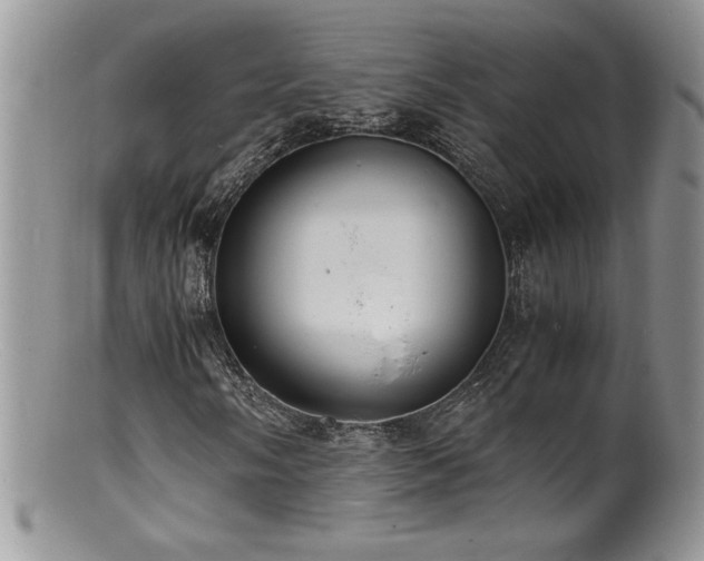 X0000100851058200806201209