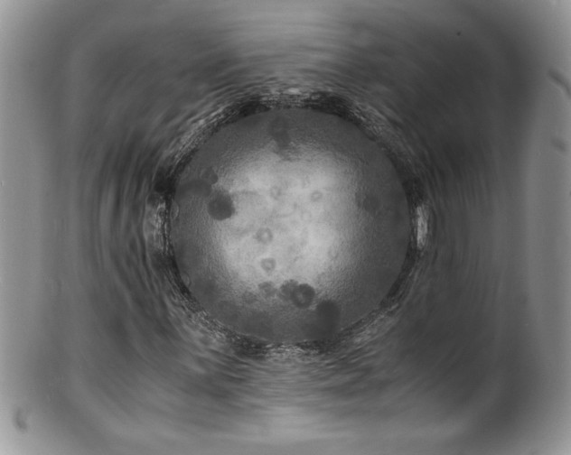 X0000100851059200806201209