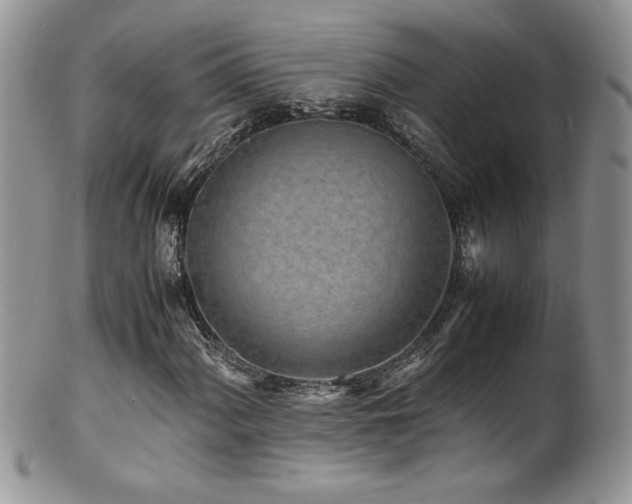 X0000100851060200806201209