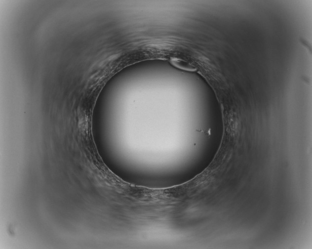 X0000100851061200806201209