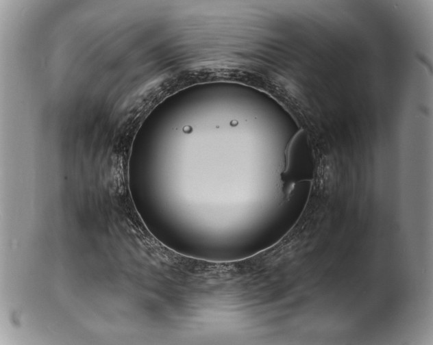 X0000100851062200806201209