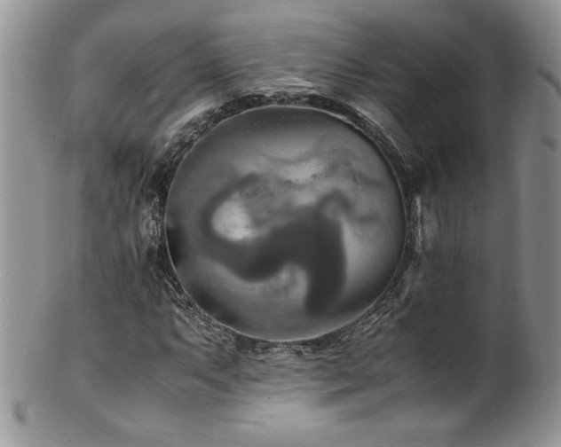 X0000100851063200806201209