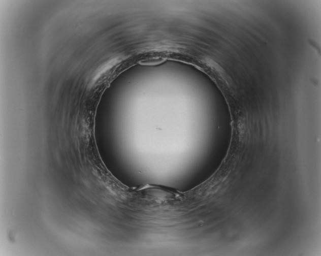 X0000100851064200806201209