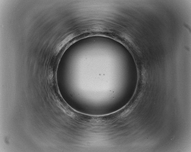 X0000100851065200806201209