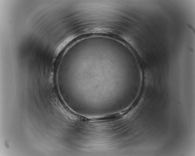 X0000100851066200806201209