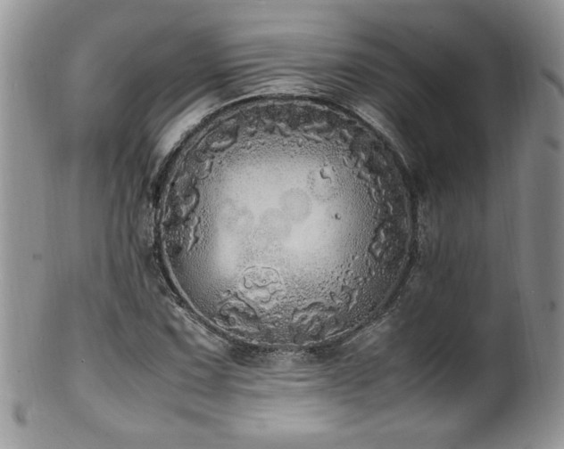 X0000100851067200806201209