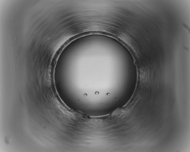 X0000100851068200806201208