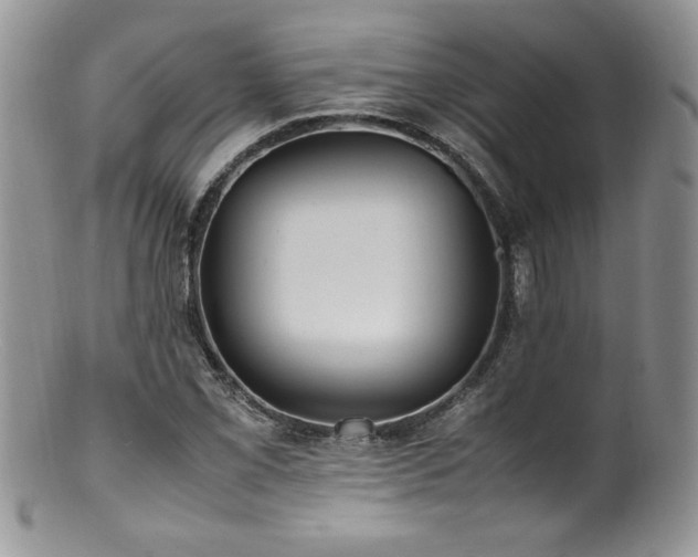 X0000100851069200806201208