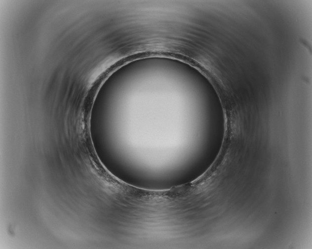 X0000100851070200806201208