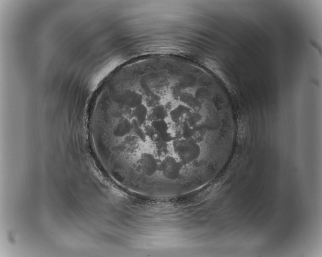 X0000100851071200806201208