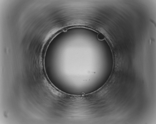X0000100851072200806201208
