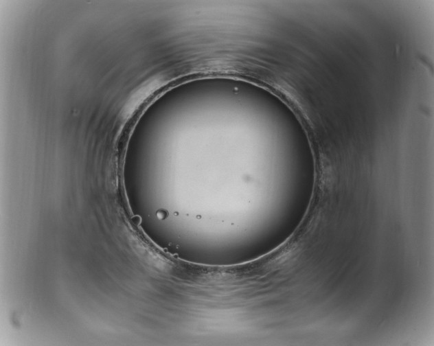 X0000100851075200806201208