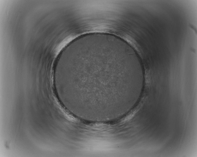 X0000100851077200806201208