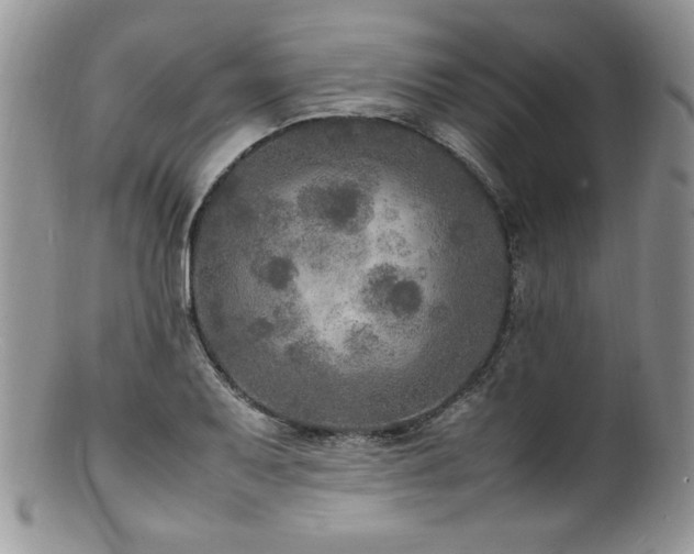 X0000100851079200806201208