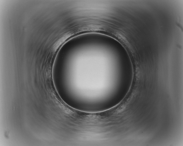 X0000100851081200806201208