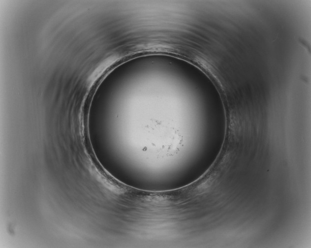 X0000100851082200806201208