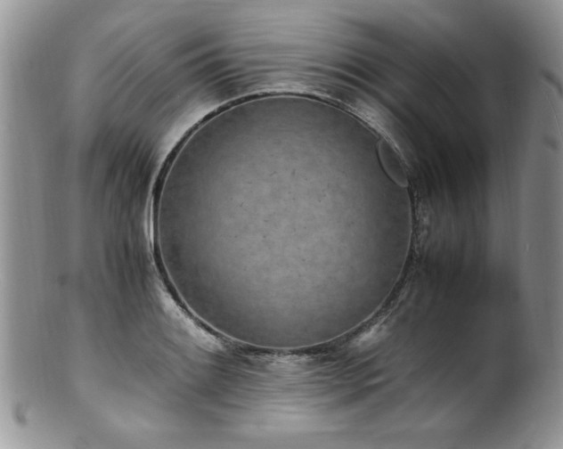 X0000100851084200806201208