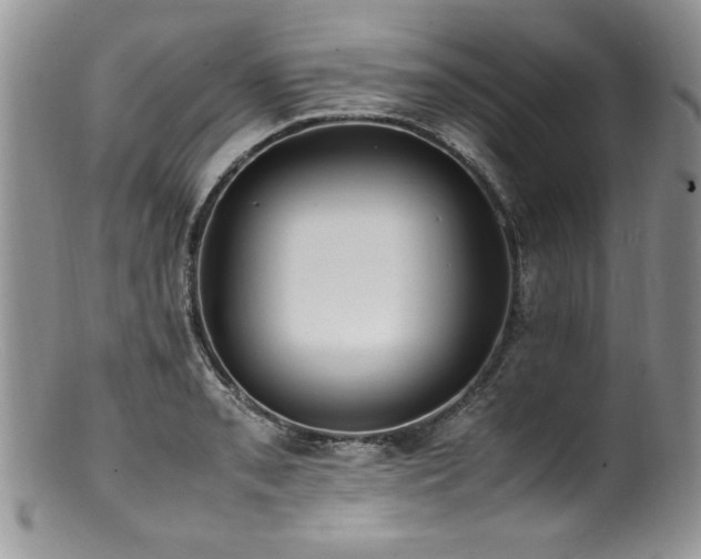 X0000100851085200806201208