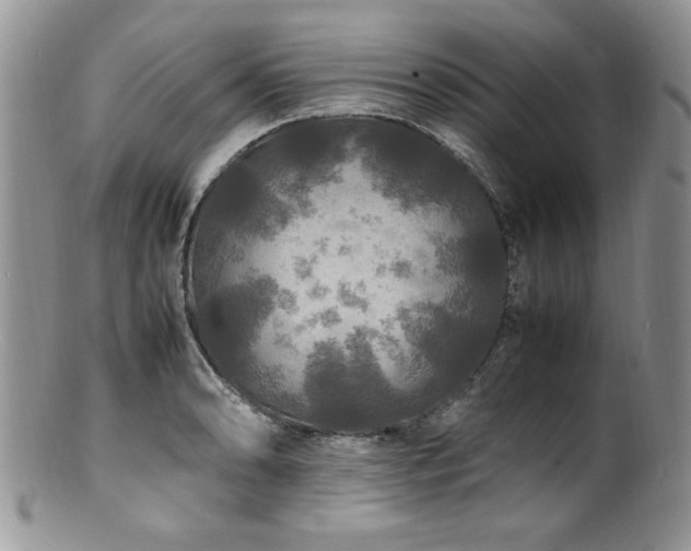 X0000100851086200806201208